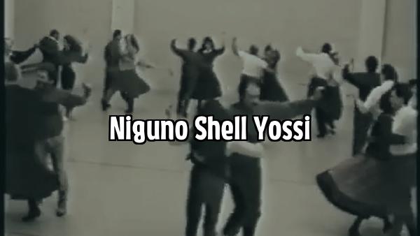 Niguno Shell Yossi